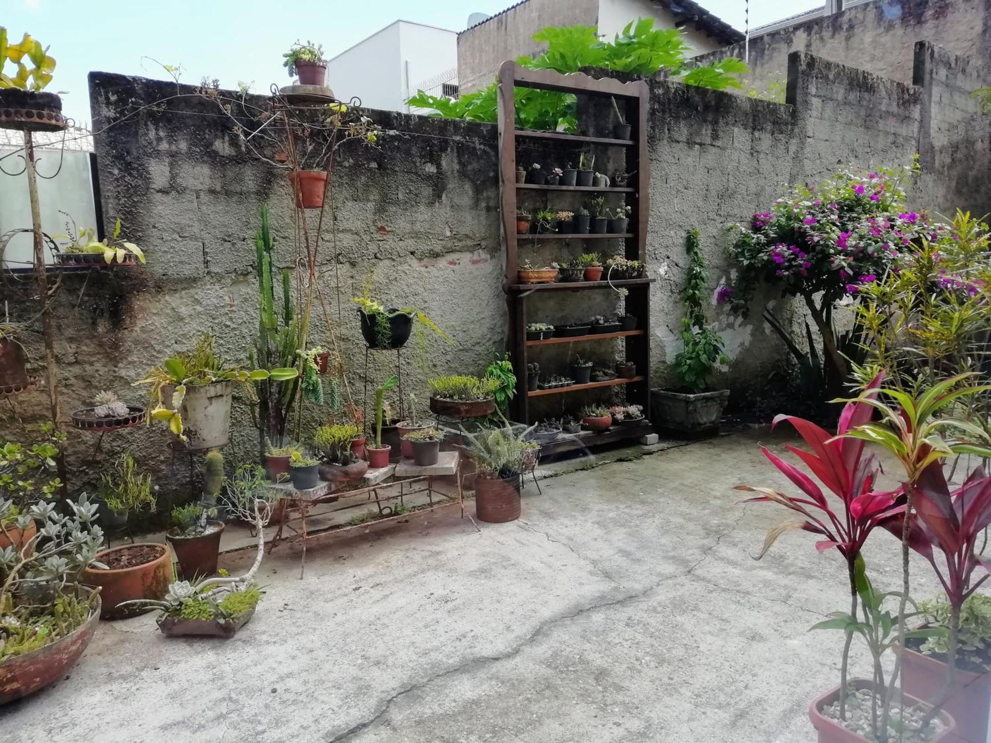 Apartamento Amplo E Aconchegante, Totalmente Equipado, Pe No Parque Sao Lourenco E A 10 Minutos De Opera, Pedreira, Mon, Centro Historico Curitiba