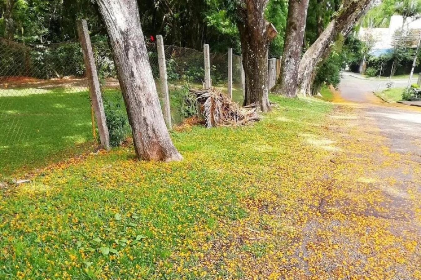 Amplo E Aconchegante, Totalmente Equipado, Pe No Parque Sao Lourenco E A 10 Minutos De Opera, Pedreira, Mon, Centro Historico * Curitiba