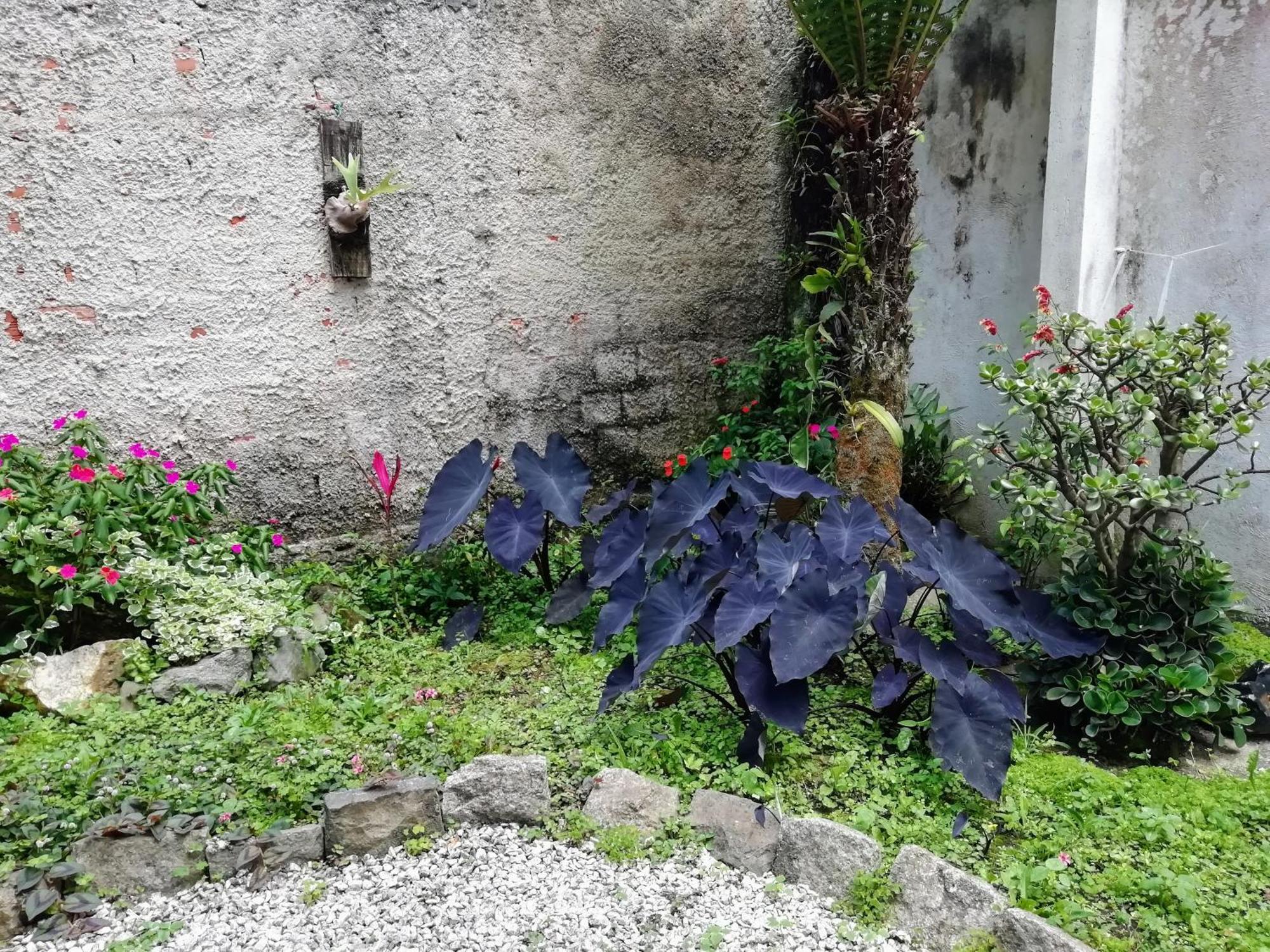 Amplo E Aconchegante, Totalmente Equipado, Pe No Parque Sao Lourenco E A 10 Minutos De Opera, Pedreira, Mon, Centro Historico Apartamento *